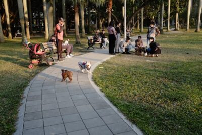 Dog park